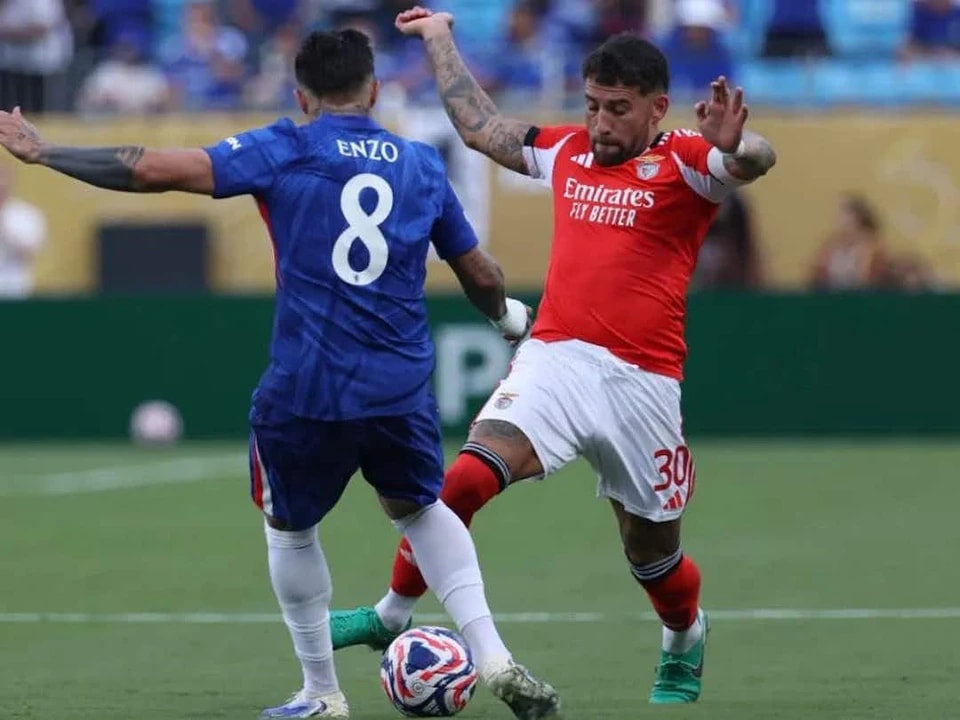 这引起恩佐, 马克, cn